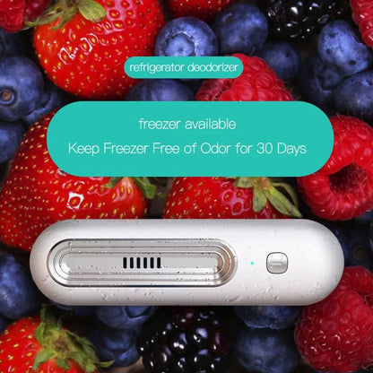 Refrigerator Deodorizer & Air Purifier
